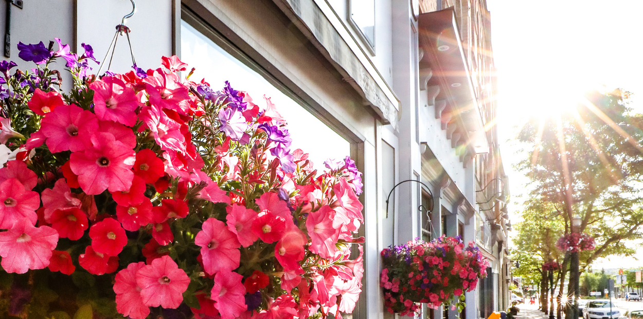 Basket of pink flower hanging on building in morning sun